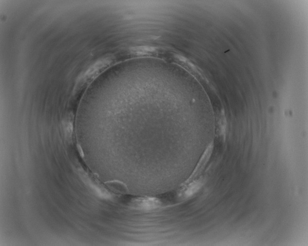 X0000080720427200612151203