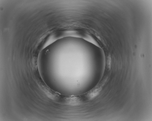 X0000080720428200612151203