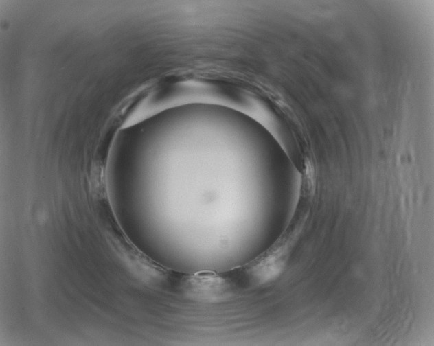 X0000080720429200612151203