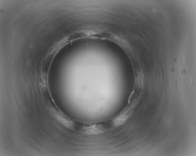 X0000080720430200612151203