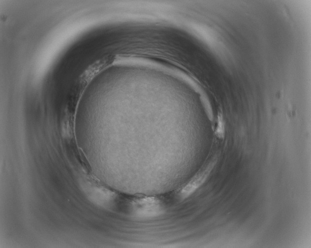 X0000080720431200612151203