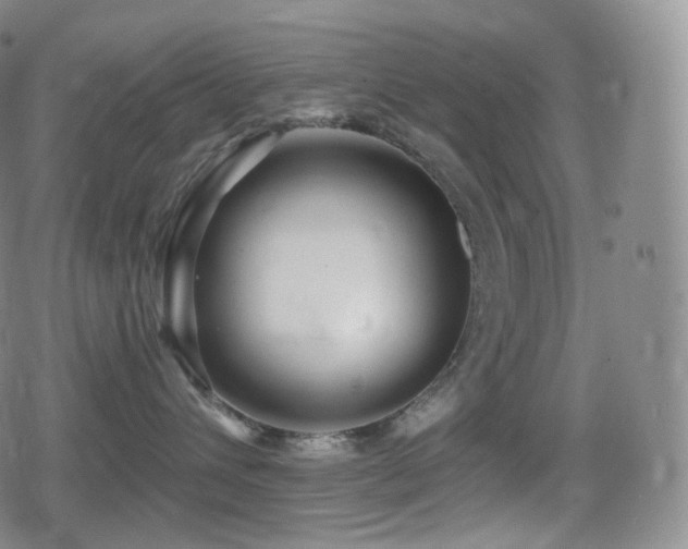 X0000080720432200612151203