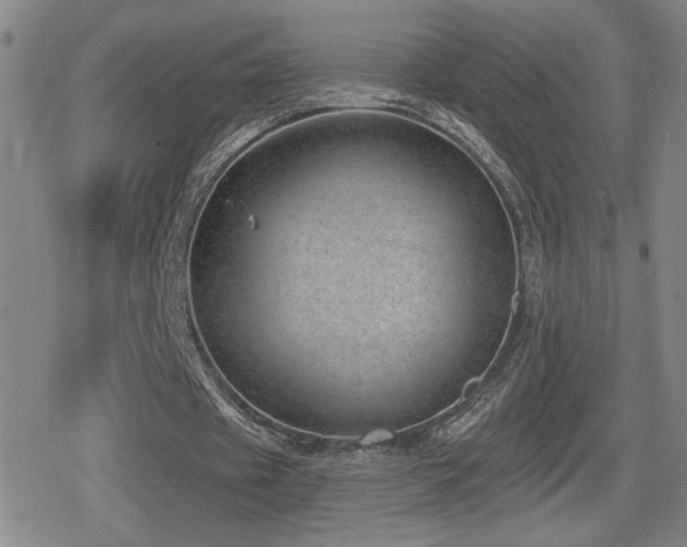 X0000080720433200612151203