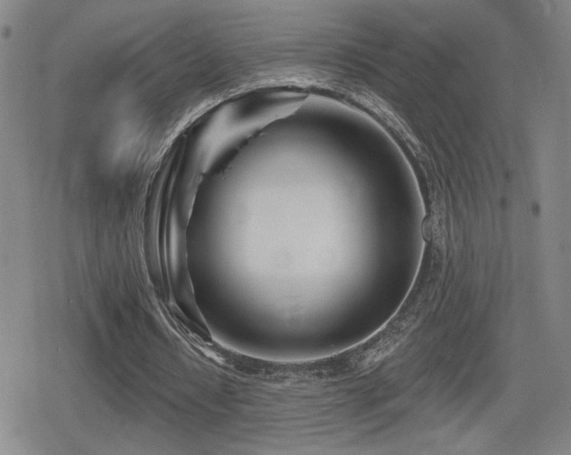 X0000080720434200612151203