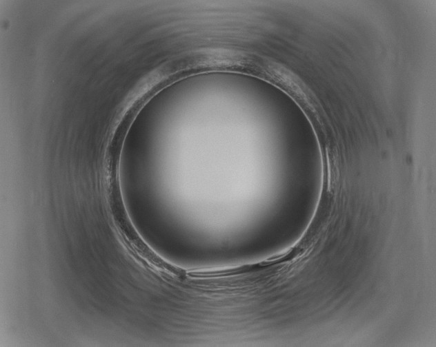 X0000080720435200612151203