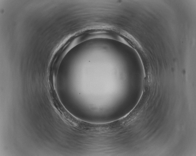 X0000080720436200612151203