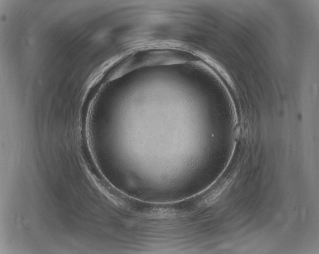 X0000080720437200612151203