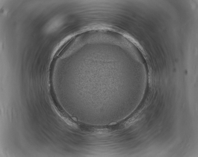 X0000080720438200612151203