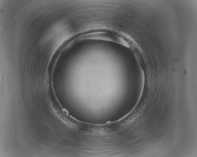 X0000080720439200612151203