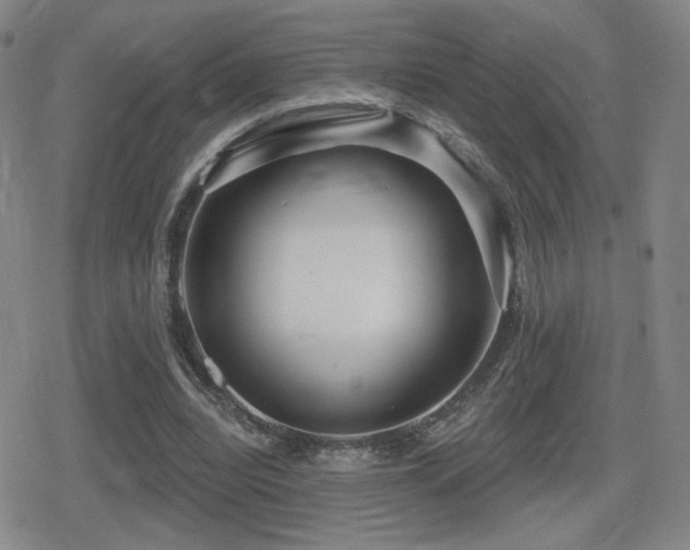 X0000080720440200612151203