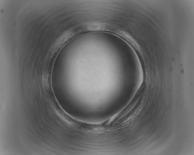 X0000080720441200612151203