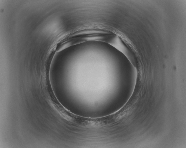 X0000080720442200612151203