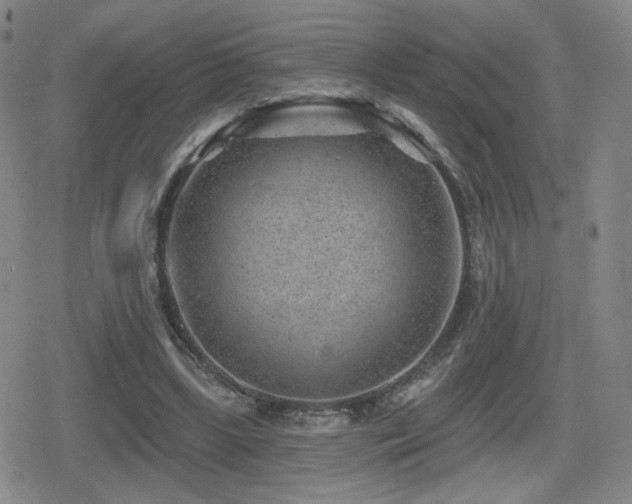 X0000080720443200612151203