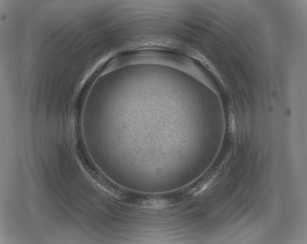 X0000080720444200612151203