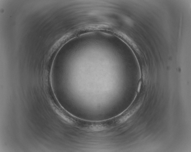 X0000080720445200612151203