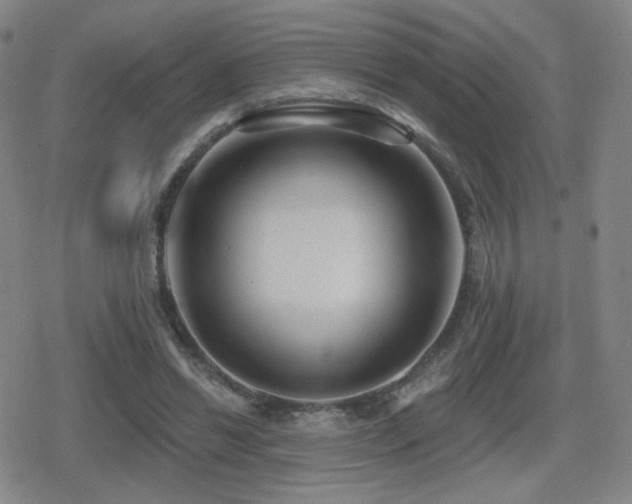 X0000080720446200612151203