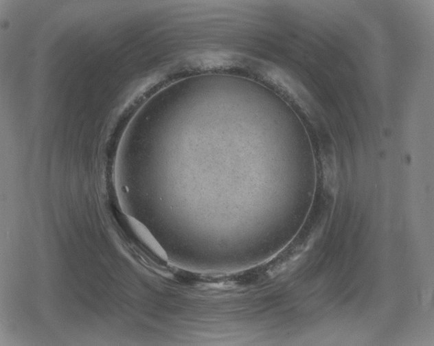 X0000080720447200612151203