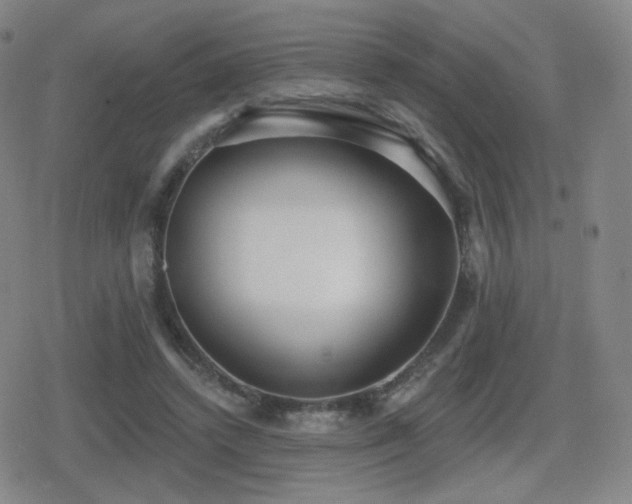 X0000080720448200612151203