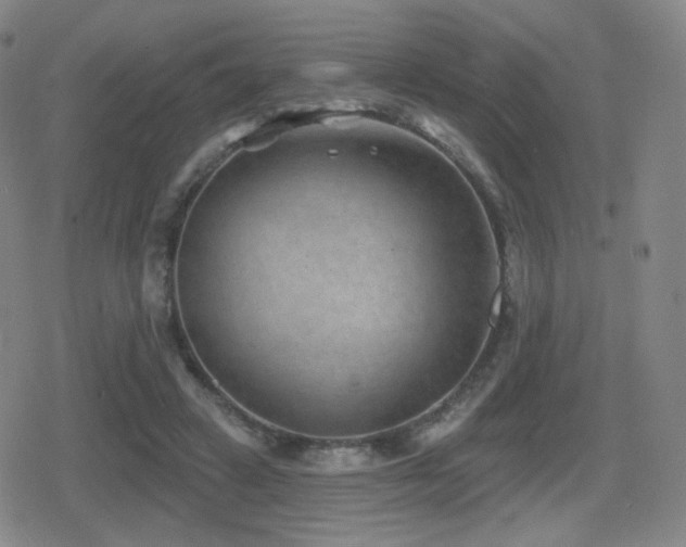 X0000080720449200612151203