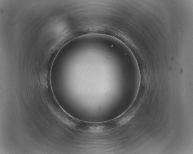 X0000080720450200612151203