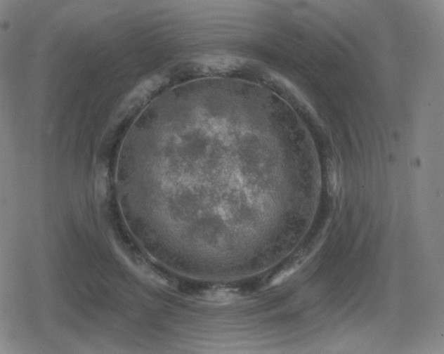 X0000080720451200612151203