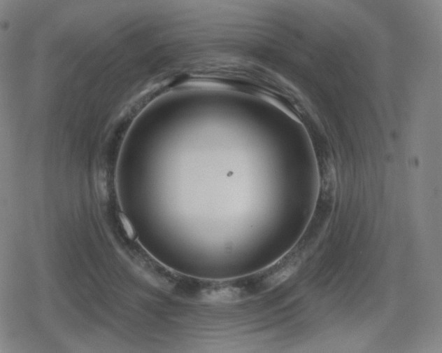 X0000080720452200612151203