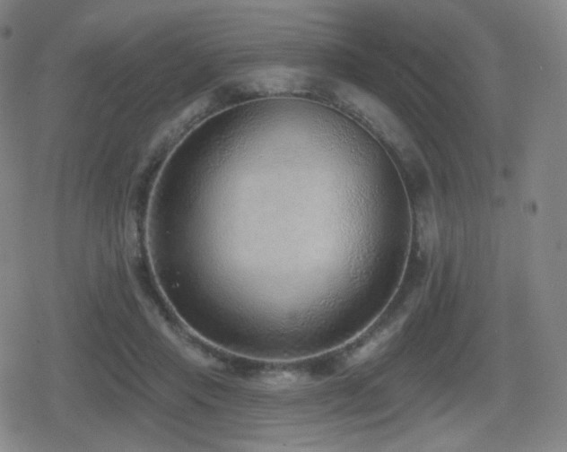 X0000080720453200612151203