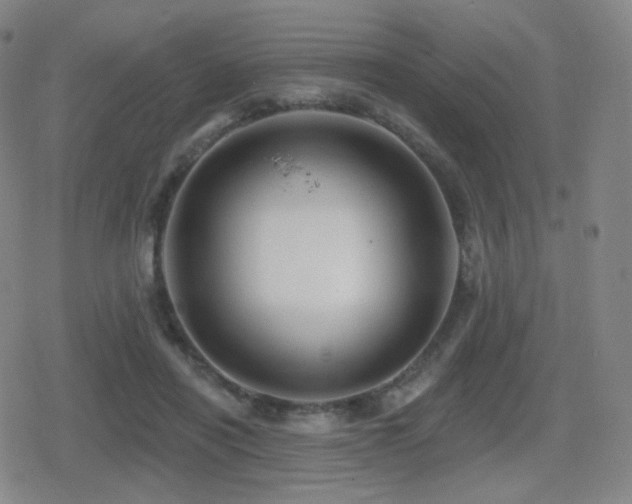 X0000080720454200612151203