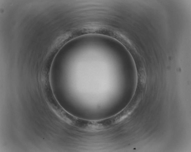 X0000080720455200612151203