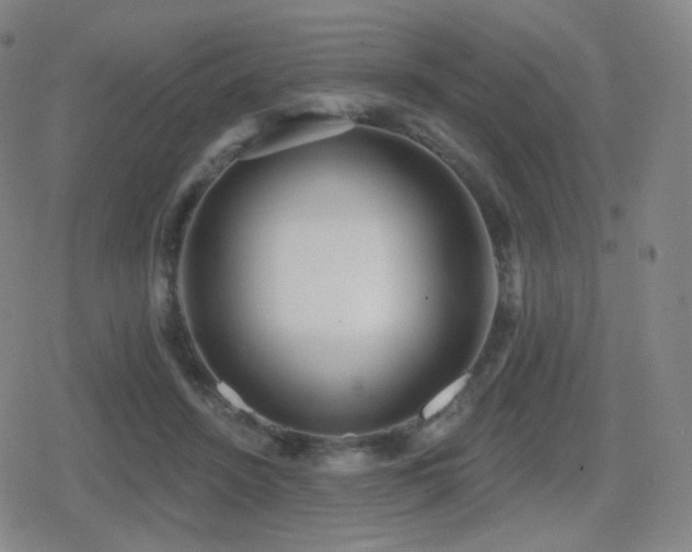 X0000080720456200612151203