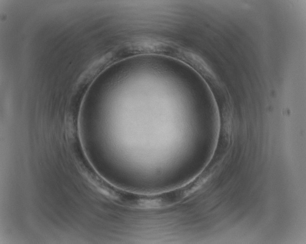 X0000080720457200612151203