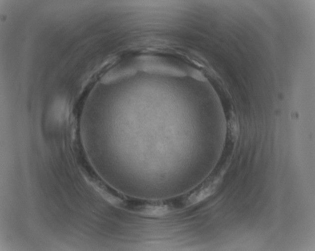 X0000080720458200612151203