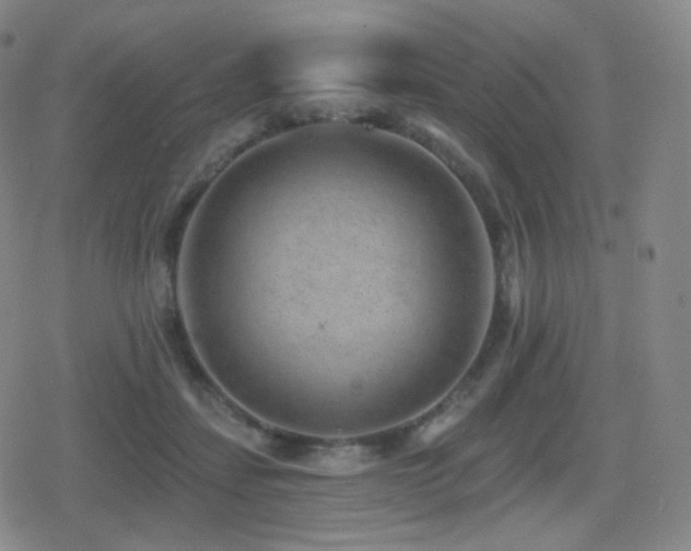 X0000080720459200612151203