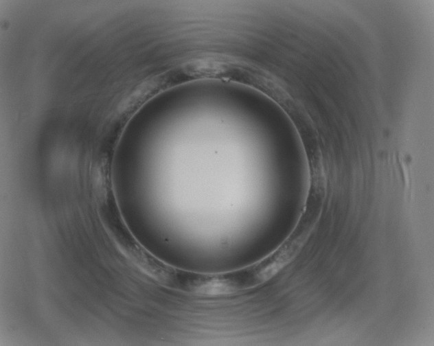 X0000080720460200612151203