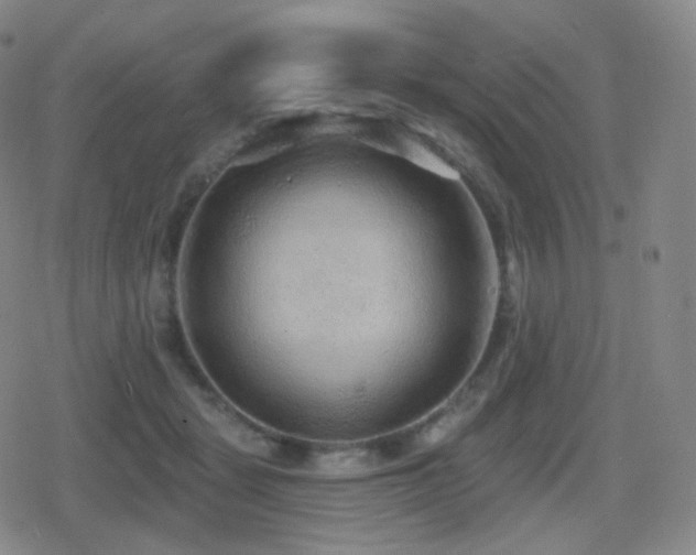 X0000080720461200612151203