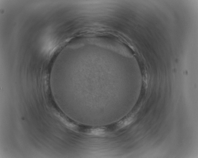 X0000080720462200612151203