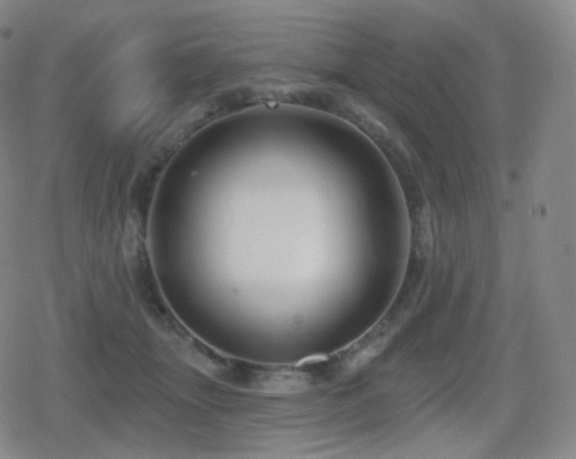 X0000080720463200612151203