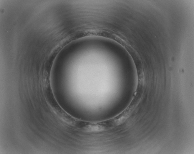 X0000080720464200612151203