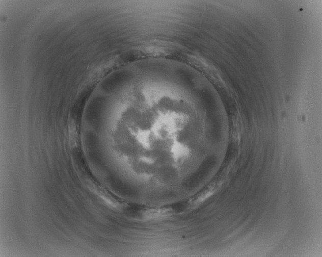 X0000080720465200612151203