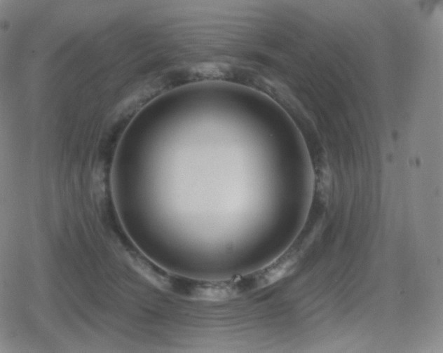 X0000080720466200612151203