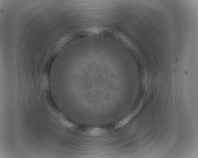 X0000080720467200612151203