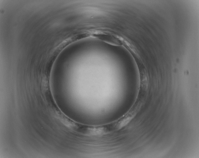 X0000080720469200612151203