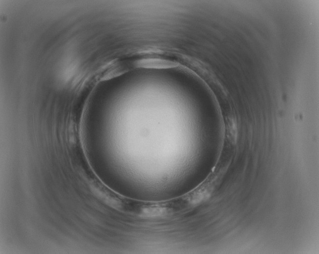 X0000080720470200612151203