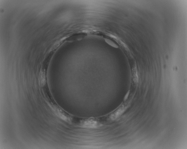 X0000080720471200612151203