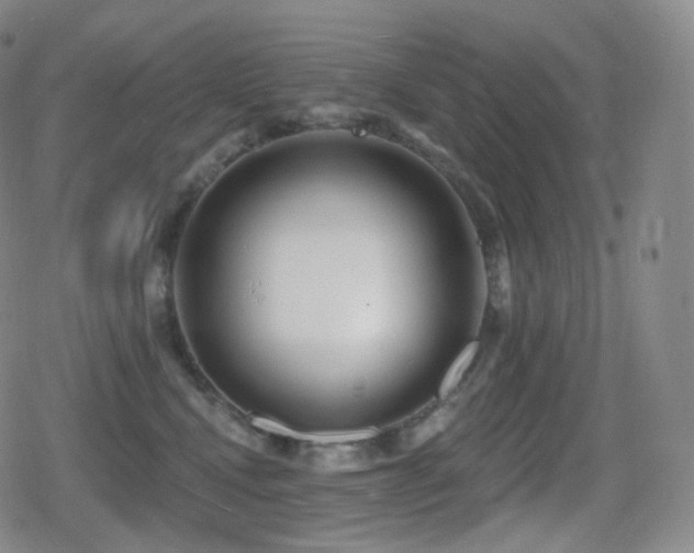 X0000080720472200612151203