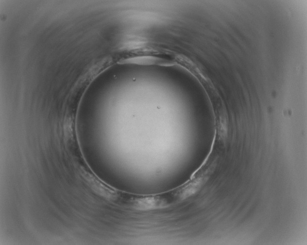 X0000080720473200612151203