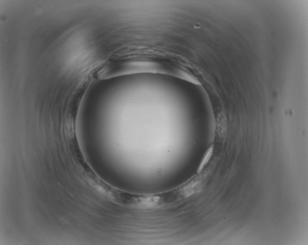 X0000080720474200612151203