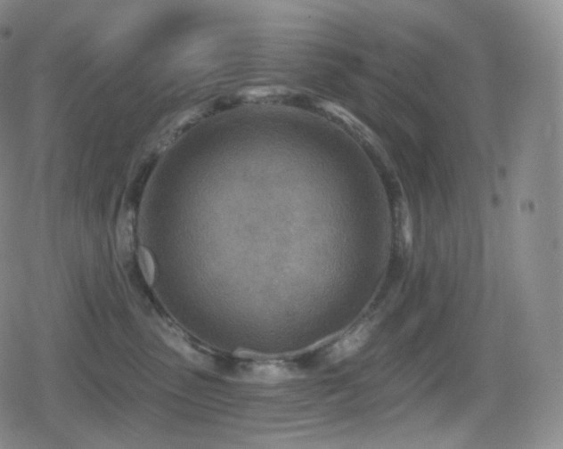 X0000080720475200612151203