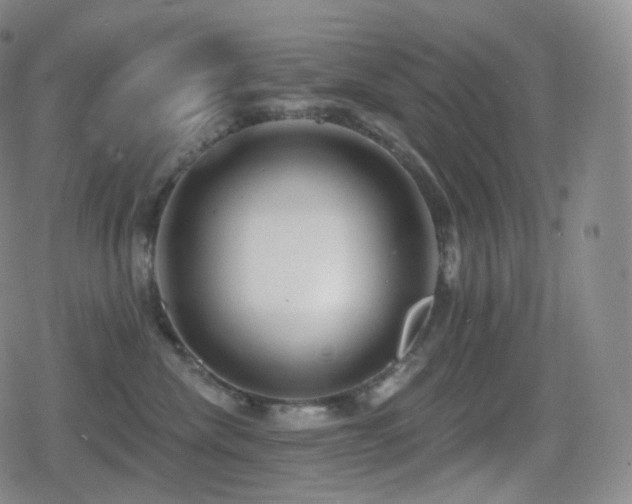 X0000080720476200612151203