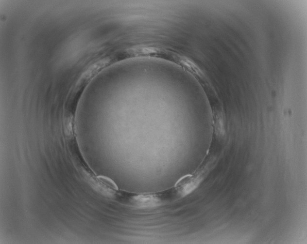 X0000080720477200612151203